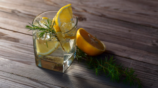 Gin Tonic Gin Tonic