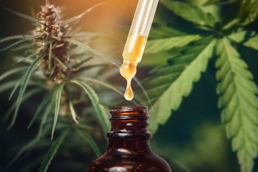 Cbd Ole Im Test Vollmundige Versprechen Sind Nicht Belegt Lebensmittelklarheit