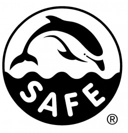 SAFE Logo