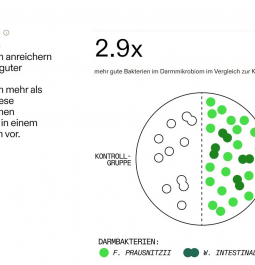 Screenshot vom 14.08.2024