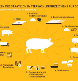 Kriterien des Tierwohlsiegels