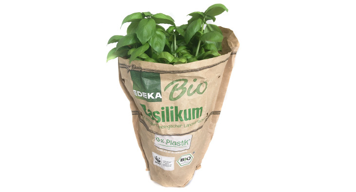 Edeka Bio Basilikum