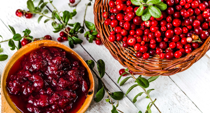 Preiselbeerenmarmelade neben frischen Preiselbeeren auf einem Tisch
