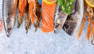 Fisch und Meeresfrüchte