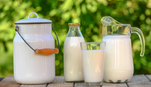 Milch in Krug, Eimer, Glas und Flasche