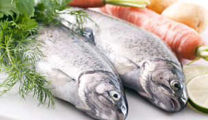 Regenbogenforellen neben Gemüse