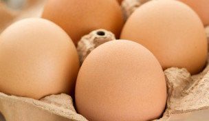 Eier im Karton Eier im Karton