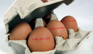 Erzeugercode anbieterneutral, Kennzeichnung Herkunftsland Eier Erzeugercode anbieterneutral, Kennzeichnung Herkunftsland Eier