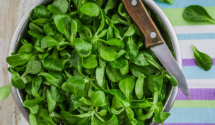 Feldsalat