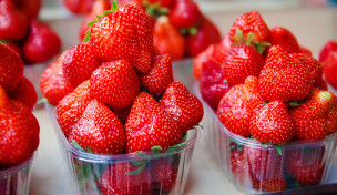 Erdbeeren in vollgefüllten Plastikschalen