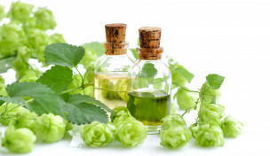 Hopfen und Hopfenextrakt Hopfen und Hopfenextrakt