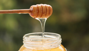 Honigtropfer-honig-im-glas