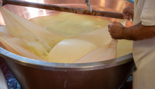 Käseherstellung mit Molke