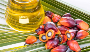 palmoel-und-palmoelfruechte