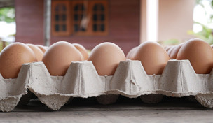 Eier im Karton