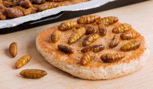Insekten auf Teigfladen