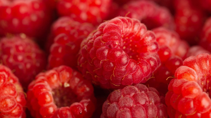 Himbeeren