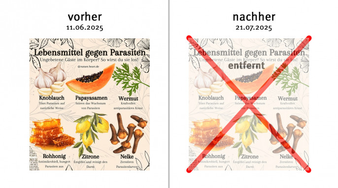 alt: Lebensmittel gegen Parasiten, Instagram.com/nature.heart.de, 11.06.2025; neu: 21.07.2025 