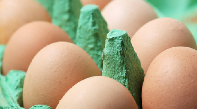 Eierkarton mit Eiern