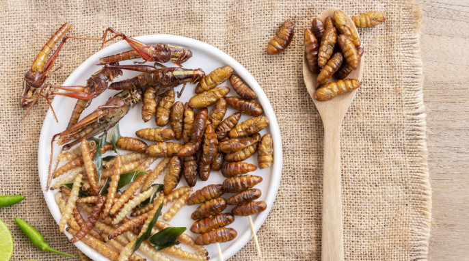 Teller mit knusprig gebratenen Insekten