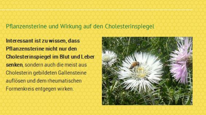 Blütenpollen, Inhaltsstoffe, allgaeuer-wanderimkerei.de, Screenshot 28.01.2016