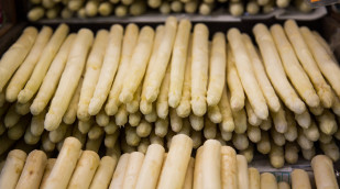 Spargel