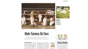 Anzeige „Mehr Fairness für Tiere“ von Kaufland, Stern Ausgabe 47/2021