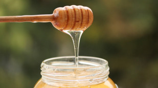 Honigtropfer-honig-im-glas