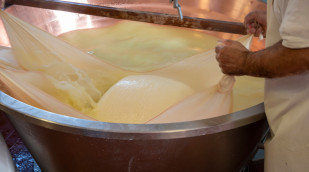 Käseherstellung mit Molke
