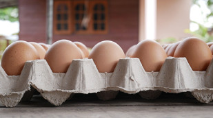 Eier im Karton
