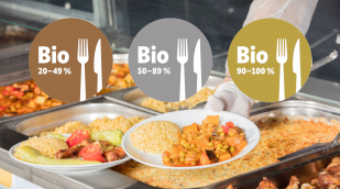 Bio-Siegel in der Gemeinschaftsverpflegung Bio-Siegel in der Gemeinschaftsverpflegung