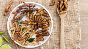 Teller mit knusprig gebratenen Insekten