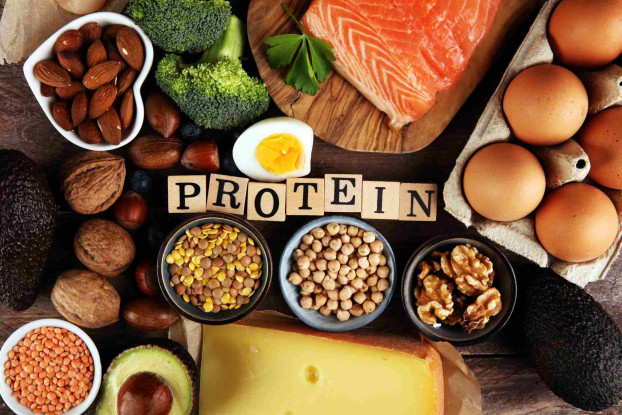 Protein