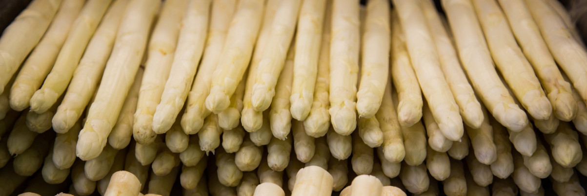 Spargel