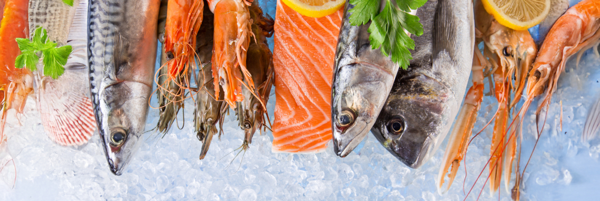 Frischer Fisch auf Eis Frischer Fisch auf Eis